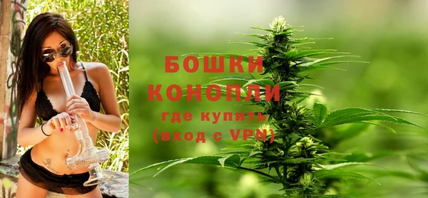 гидропоника Бородино