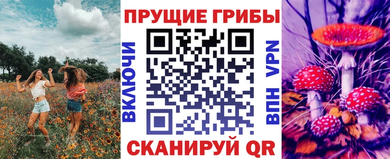 Псилоцибиновые грибы Cubensis  Малгобек 